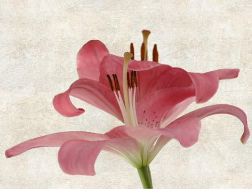 429280 (a): :1600x1200